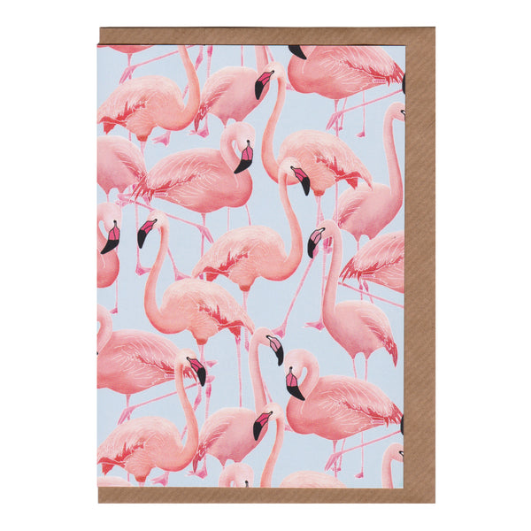 Flamingos - Greetings Card