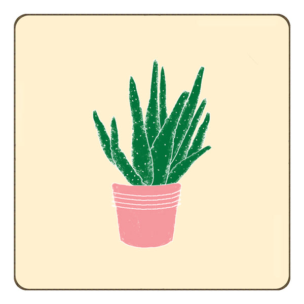 Succulent 1 - Coaster