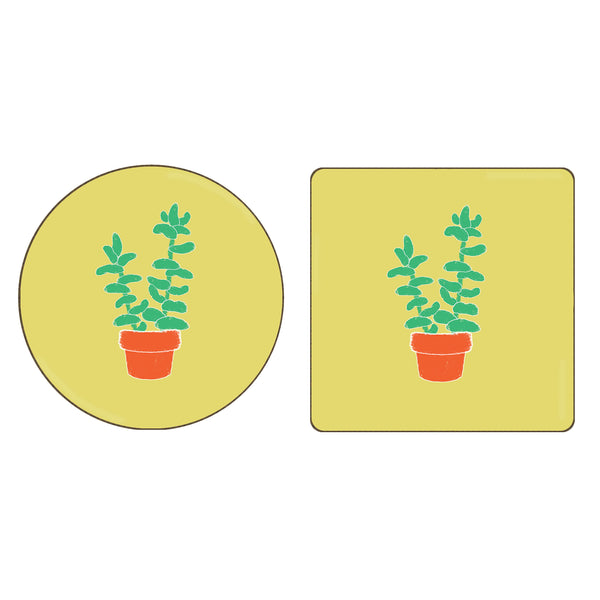 Succulent 5 - Coaster